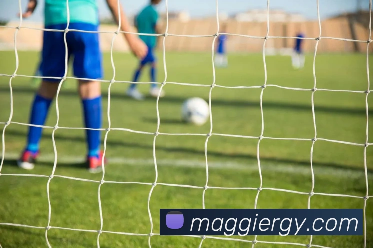 世界杯官网登录appAPP 高清赛事图